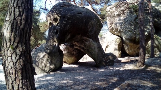 L\'Éléphant