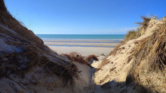 l\'embouchure de la plage