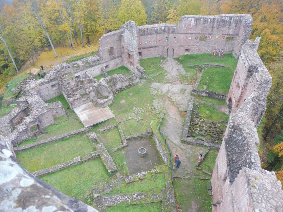 L'emprise du château de Wangenbourg