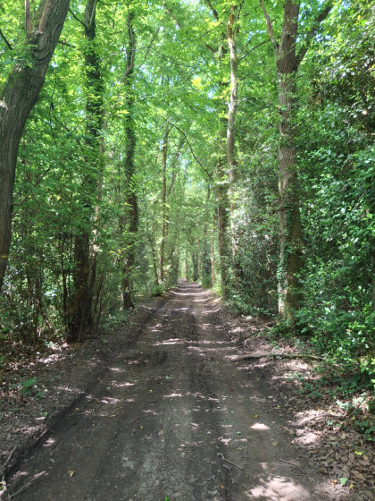 L'entrée du Bois de Pîtres