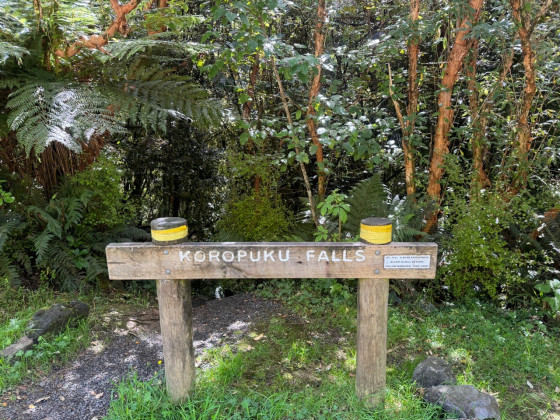 L’entrée du sentier