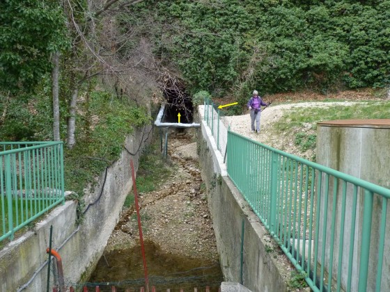 L\'entrée ou la sortie