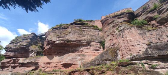 L'éperon rocheux du château du Haut-Barr.
