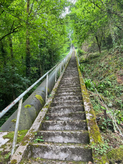 L\'escalier aux mille marches