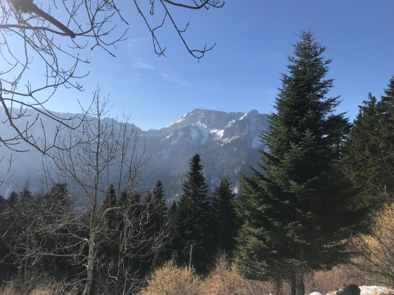 L’Essart des Rochers