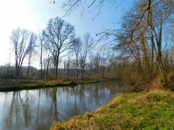 L\'Essonne