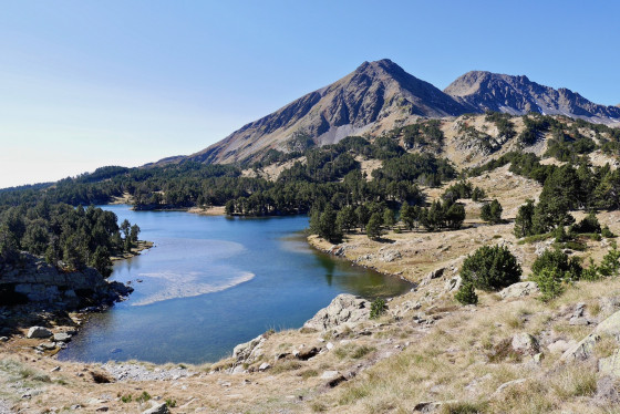 L&rsquo;Estany del Mig (milieu)