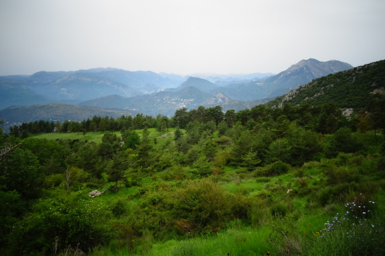 L\'Estéron