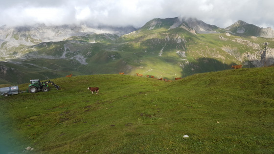 L\'estive sur sentier qui mène au Col des Saulces