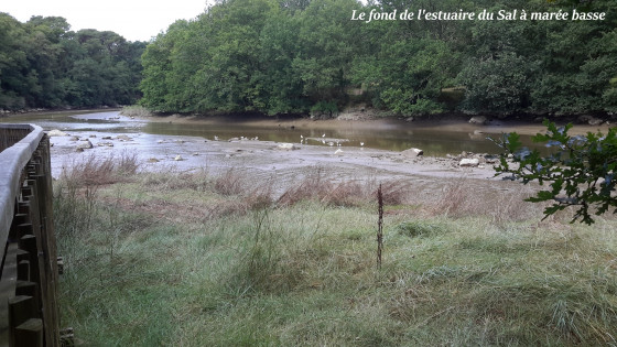 L\'estuaire du Sal