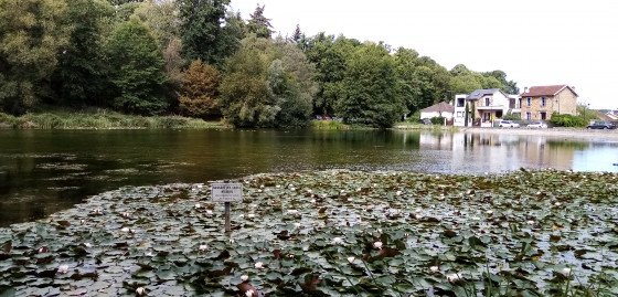 L'&Eacute;tang aux &Eacute;crevisses
