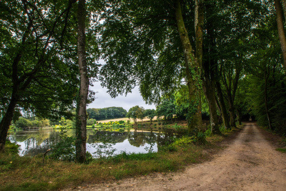 L'étang de Bosny