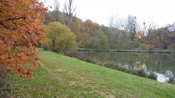 L'&eacute;tang de Bourmay &agrave; l'automne