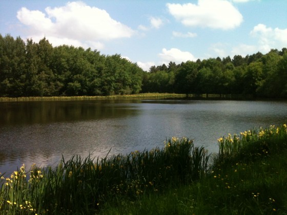 L\'Etang de Brin d\'Amour