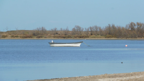 L'étang de Canet ou de St-Nazaire