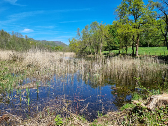 L\'étang de Chantesse