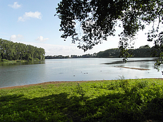 L\'étang de Dikkeus