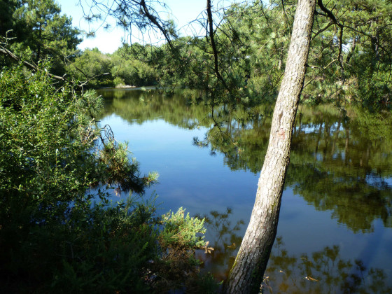 L'&eacute;tang de Kergu&eacute;len