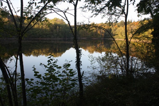 L\'Etang de l\'Île