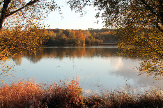 L'étang de la Chaume à l'automne
