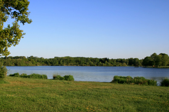 l\'étang de la Chaume