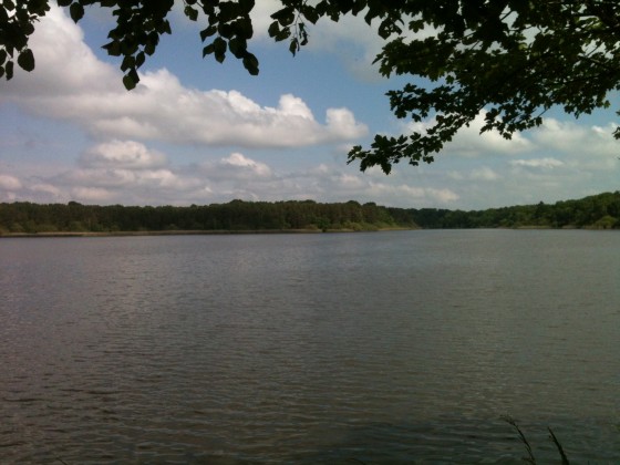 L\'Etang de la Vallée