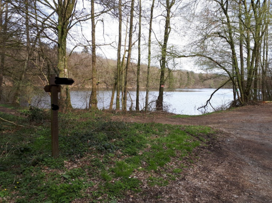 l\'Etang de la Vieille Forge