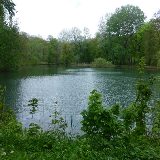l\'Etang de Merrey