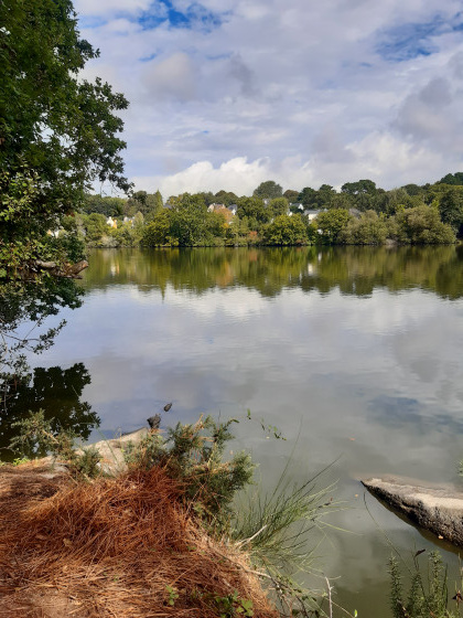 L'étang de Saint-Mathurin