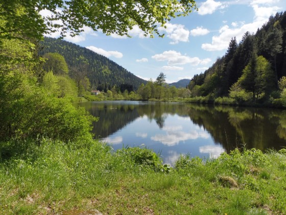 L\'Étang des Dames