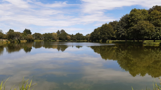 l'Étang des Lavandières