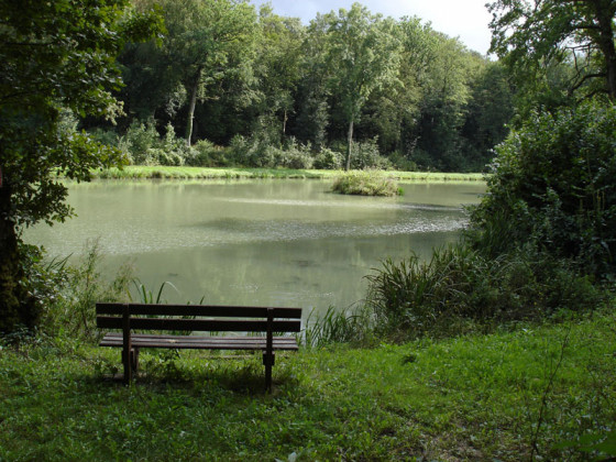 L'Étang des moines