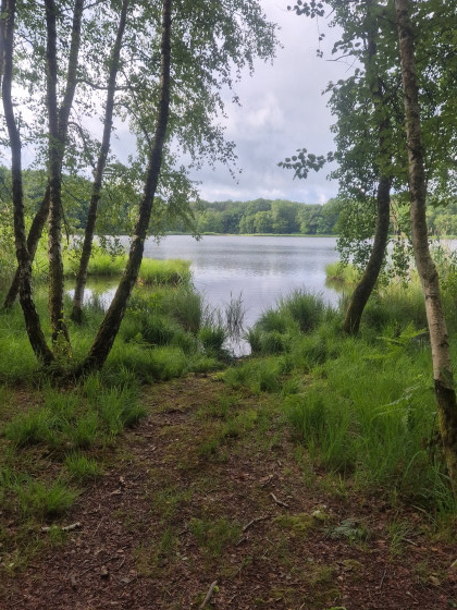 L'étang des monts reveaux