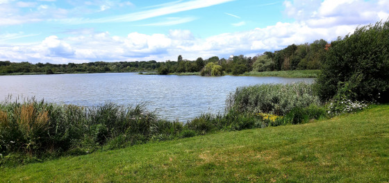 L'Etang des Noës