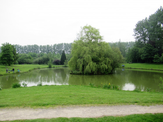 L'&eacute;tang du Bas Sainghain