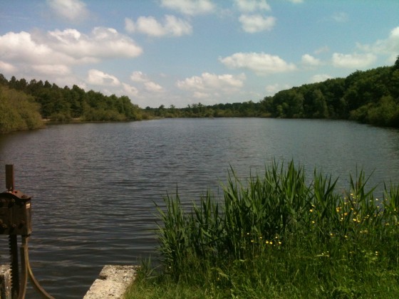 L\'Etang du Crot aux Sablons