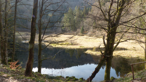 L'étang du Devin