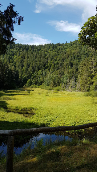 L\'Etang du Devin