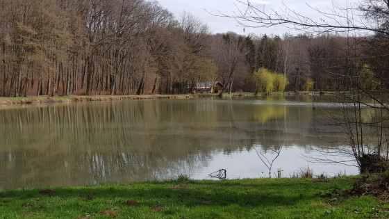 L'&eacute;tang du Riedweiher