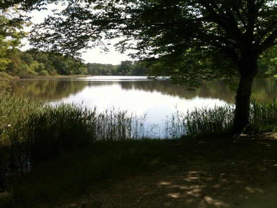 L\'Etang Neuf