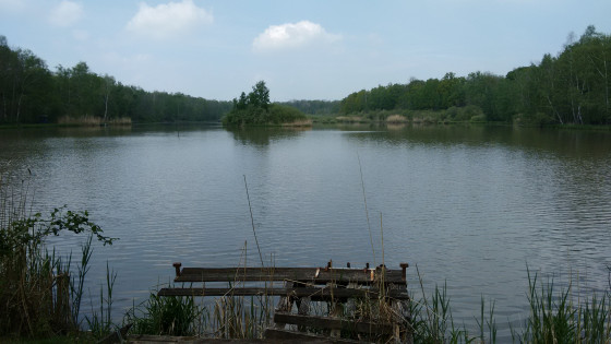 L\'étang