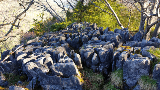L\'étonnant lapiaz de Calihourc