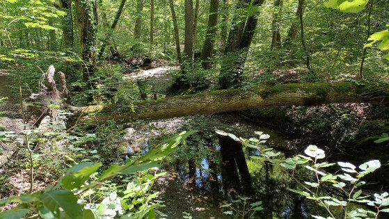 Rundwanderung durch das geschützte Hermance-Tal