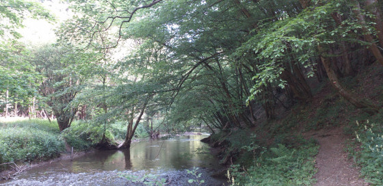 L'Hermeton