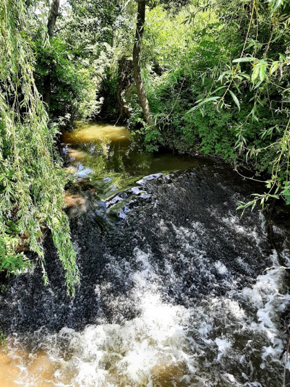 L'Horgneau