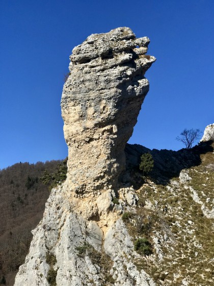 L\'œil de l\'Ouillon