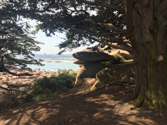 l'Île Renote