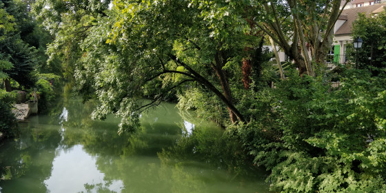 L\'île Sainte-Catherine