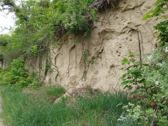 L'imposant mur de löess