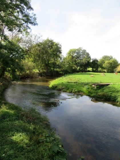 L\'Indre aux abords de Mers-sur-Indre (aire de pique-nique de Presles)